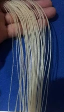 VIOLIN VIOLA CELLO & DOUBLE BASS GUT STRINGS