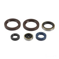 Dichsatz Motordichtringe Motor Dichtung FüR KTM EXC 125 2T Sixdays Bj. 2009-2013
