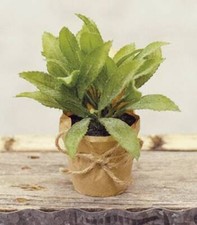 Set 2 Farmhouse Herb Pots Paper Potted Herbs Faux Plant