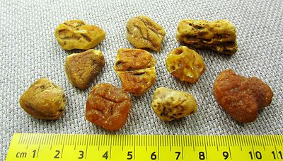 Lot of 10 Natural Rare Drops Genuine Baltic Amber Stones Nuggets 24.20 grams 