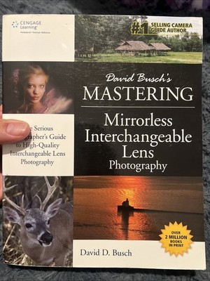 David Busch's Mastering Mirrorless Interchangeable Lens Photography B-437