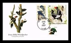 DR JIM STAMPS US COVER IVORY BILLED WOODPECKER NATIONAL AUDUBON SOCIETY FDC
