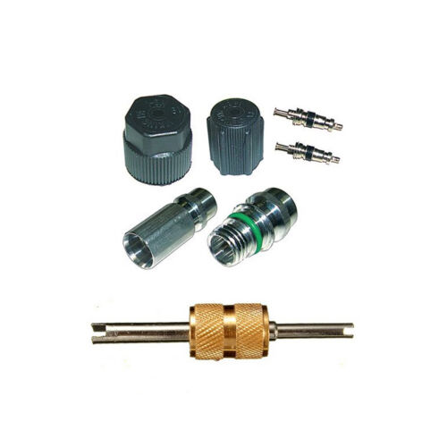 Santech Industries Automobile A/C System Caps &amp; Valves Kit With Removal tool