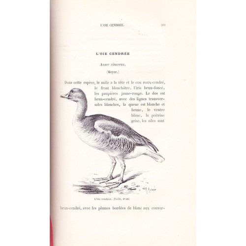 La SAUVAGINE en FRANCE par Louis TERNIER Oiseaux de mer & de marais 1897 RARE - Picture 7 of 11