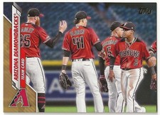 2020 Topps DIAMONDBACKS Insert GOLD Parallel Card #/2020 TEAM