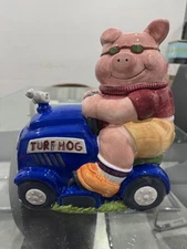New Turf Hog Pig Goggles Cookie Jar Canister Cooks Club Novelty 11” X 10”