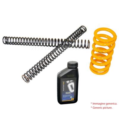 Andreani Suspension Federn Mono Gabel Ol Moto Guzzi Breva / Norge 2005 > 2008