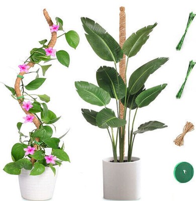 Moss Pole for Plants Support  Sticks for Climbing Indoor Potted Plants Stakes