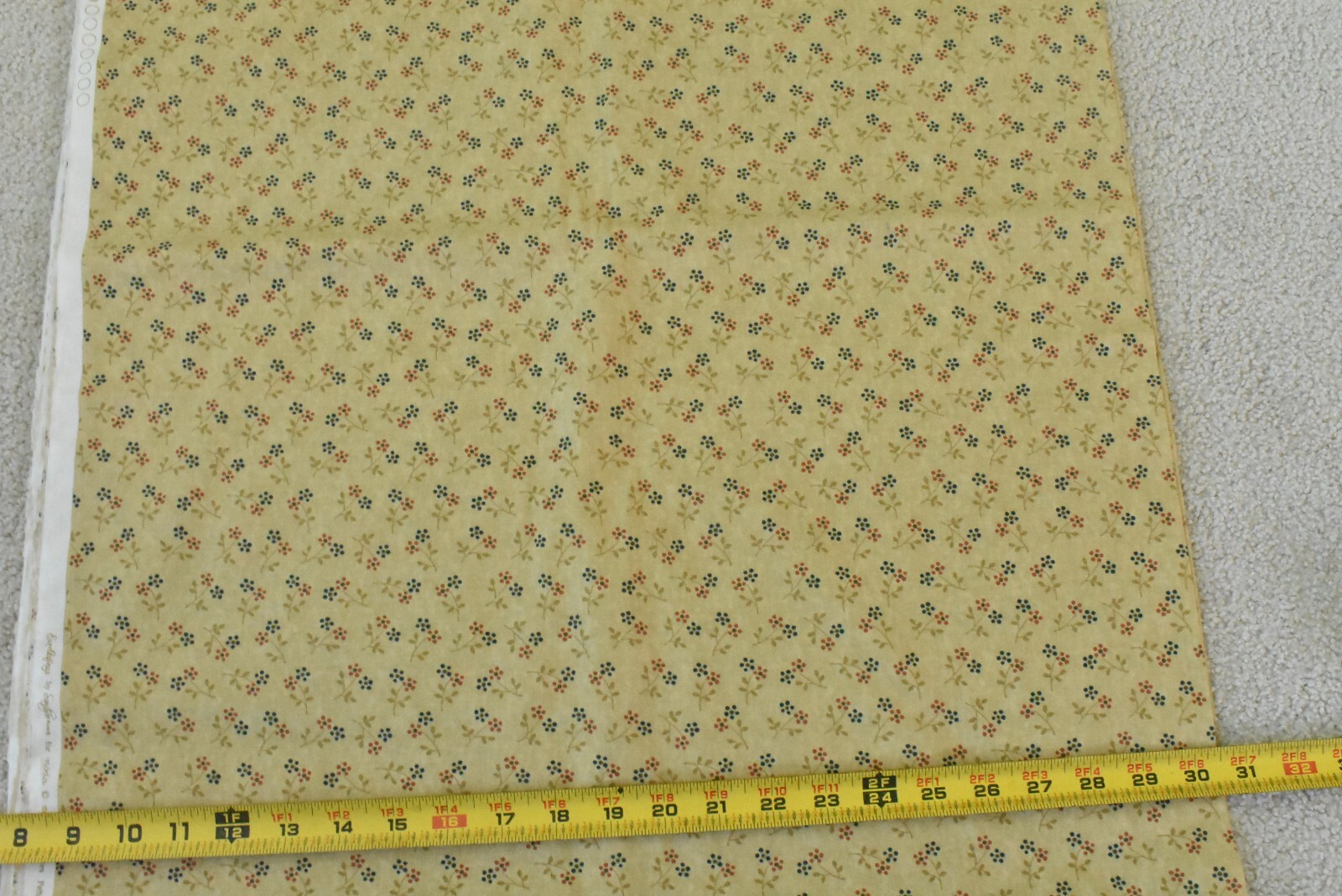 Picture 3 of 6