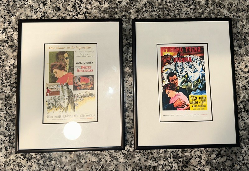 Miracle of the White Stallions, Framed Vintage Movie Poster Prints, Disney 1963