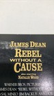 Rebel Without A Cause 1955 Laserdisc 1993 LD James Dean WS — photo 3