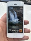 Bild 10 von 11