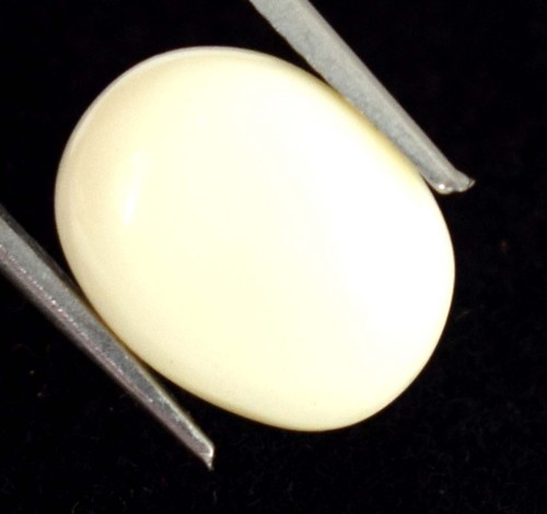 3.80 Karat Ovale Form Weißer Opal Edelstein Natürlich Zertifiziert B71127 Sonder - Bild 7 von 8
