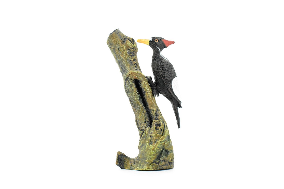 Pileated Woodpecker Plastic Bird, Realistic Toy Figure, Model, 4