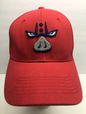 LEHIGH VALLEY IRON PIGS Bimm Ridder MiLB VINTAGE MINOR LEAGUE  Youth Hat Rare!