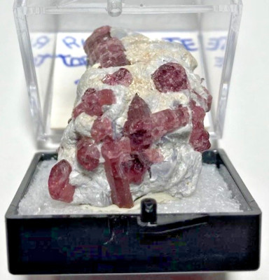 Rubellite Tourmaline in matrix. Jonas Mine Brazil