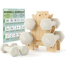 Kurzhantel Set Hanteln Gusseisen mit Ablage Heimtraining Fitnessstudio