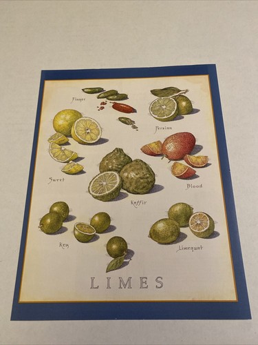 Cooks Illustrated Frameable Kitchen Art Back Cover Only Limes Citrus - Picture 2 of 2