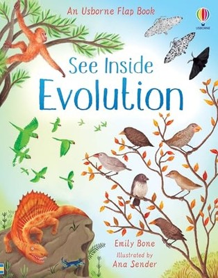 See Inside Evolution - board book Emily Bone