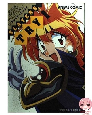 Slayers Try 1 DRAGON MAGAZINE COLLECTION Special Ani