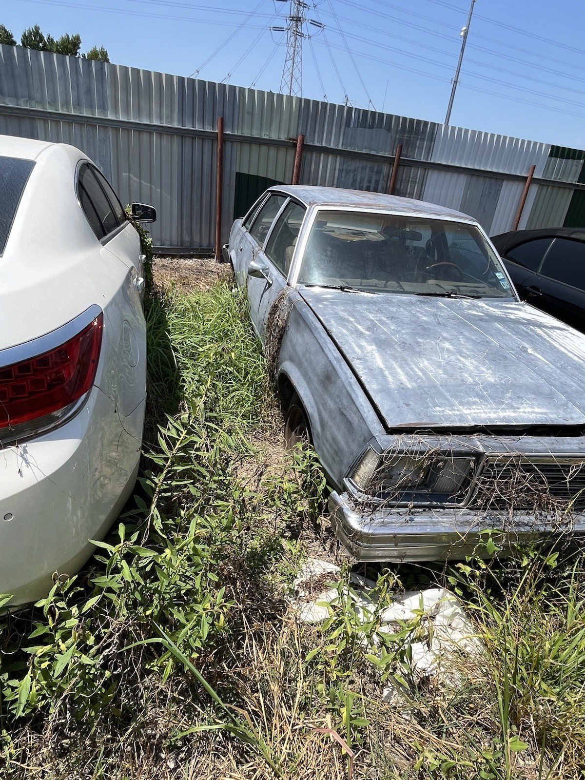 1979 Chevrolet Malibu for sale in Cypress Texas
