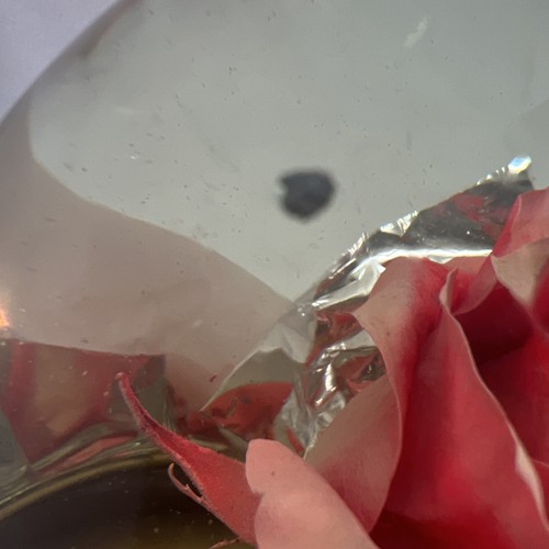 Forever ROSE/PINK In Glass Ball Water Dome Globe Large Real Rose 6x6 in. - Picture 3 of 9