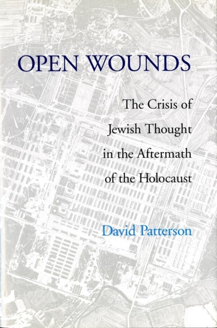 Open Wounds by David Patterson HARDBACK 9780295986456