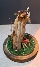 Composizione Tassidermica Cervo Volante Femmina E Legno