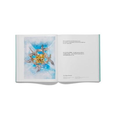 Tiffany Wonder Book History of Tiffany & Japan published by