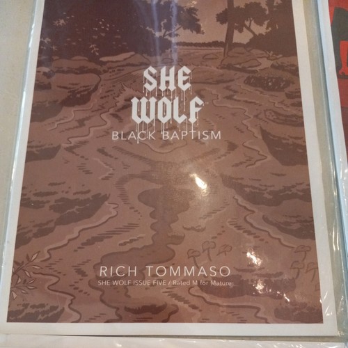 4 She Wolf Black Baptism Comic Lot Run #5 6 7 8 Rich Tommaso New Image 2017 - Bild 3 von 9