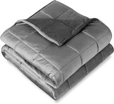 Bare Home 17lb Weighted Blanket Queen 60"x80" - Minky Fleece, Grey
