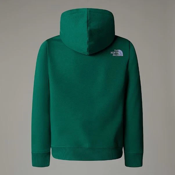 Felpa Bambino Junior The North Face Boys Drew Peak Hoodie A89HH NL1 Verde - Imagen 2 de 4