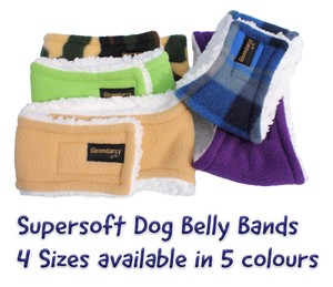 glenndarcy dog belly bands
