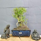 Picture 8 of 10