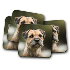 4 Set - Border Terrier Coaster - Dog Puppy Cute Cheeky Kids Animals Gift #15940