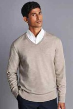 Charles Tyrwhitt Mens Jumper Pullover Limestone Beige Merino Wool V-Neck BNWT