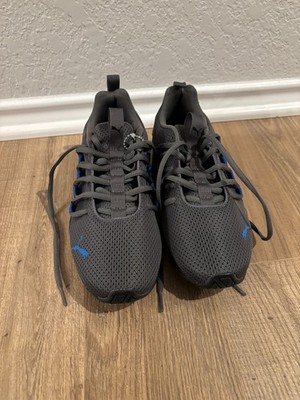 Puma Axelion Gray Mesh Sneakers