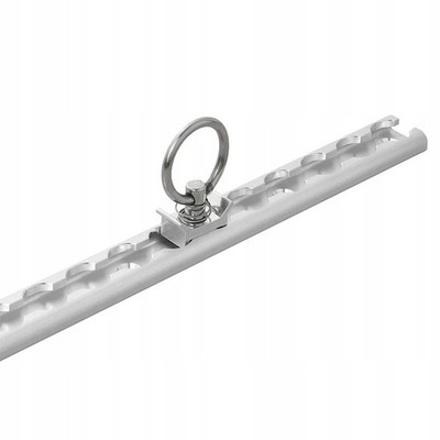 Ladungssicherungsschiene aus Aluminium für Anhänger 60 cm Neu