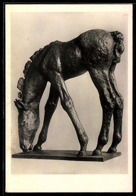 Bronzestatue Weidendes Fohlen 1929, Renée Sintenis, Ansichtskarte 