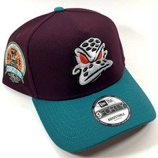 Anaheim Ducks Collecting and Fan Guide 11