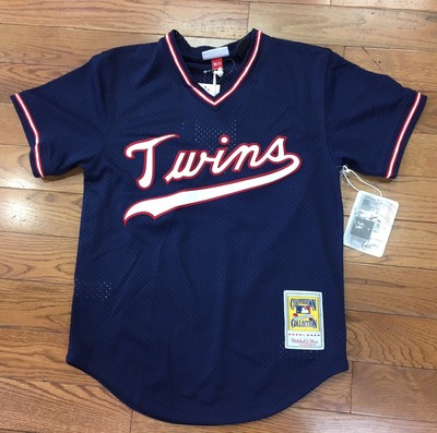 mitchell and ness kirby puckett jersey