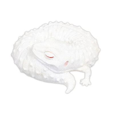 Sleeping Leopard Gecko Good Night Mini Figure Vol 2 Yellow Albino Black Diablo