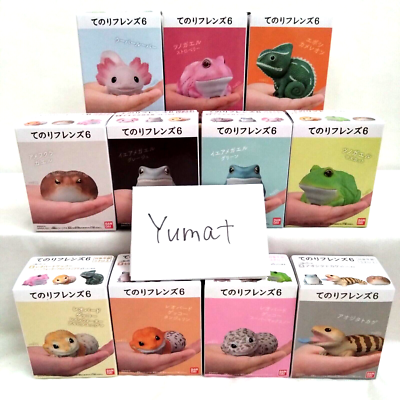Tenori Friends Ver.6 Reptile 11 Figure Complete Set BANDAI Animal