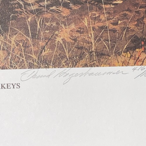 John Cowan 1988 Texas Wild Turkey Stamp Print W Stamp No. 806 von 1500 - Bild 8 von 9