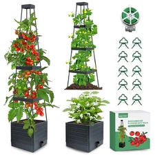 2Pack Raised Garden Bed Planter with Trellis Self Watering Box