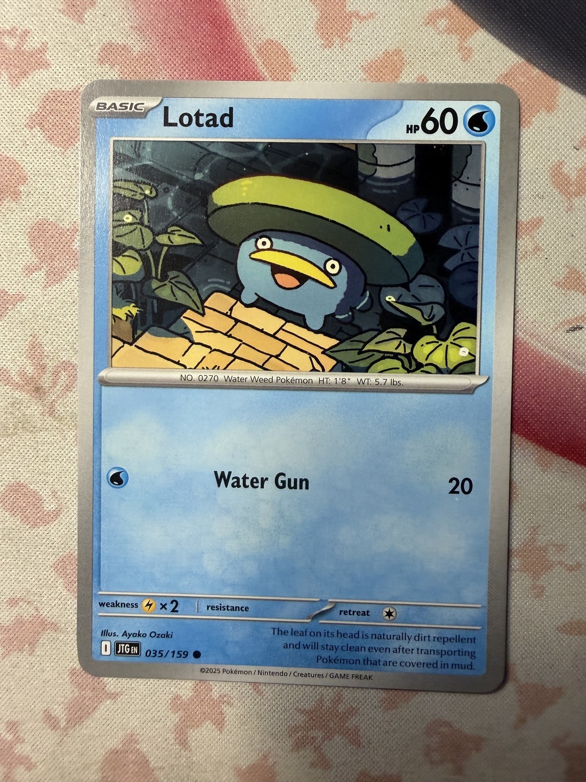 Lotad Common SV09: Journey Together 035/159 NM English