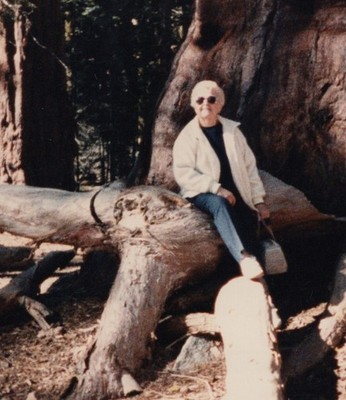 1980s Old Woman Sitting Fallen Tree Giant Sequoia Forest