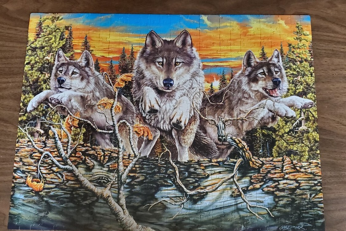 Steven Michael Gardner Wolf Crossing Jigsaw Puzzle Hidden Images