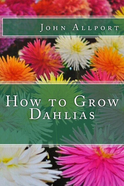 How To Grow Dahlias