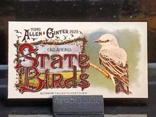 2025 Allen & Ginter Mini State Birds #SB36 Oklahoma Scissor-Tailed Flycatcher 